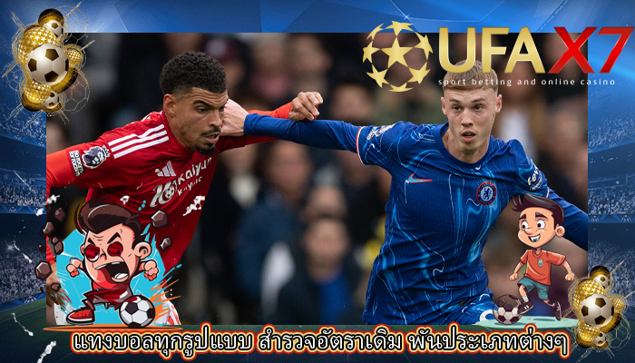 แทงบอลทุกรูปแบบ สำรวจอัตราเดิม พันประเภทต่างๆ 